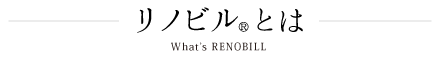 リノビルとは